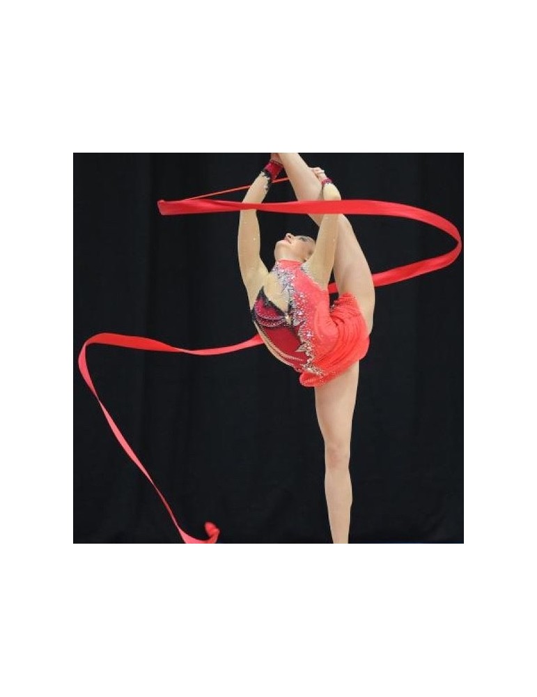 10x Ruban gymnastique 6m professionnel
