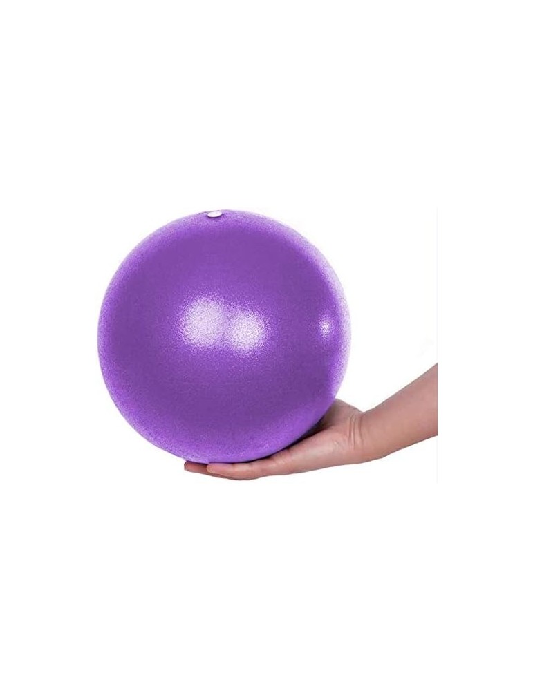 Ballon de Yoga 26cm violet