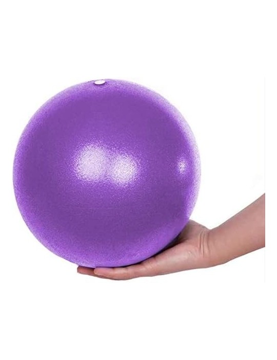 Ballon de Yoga 26cm violet