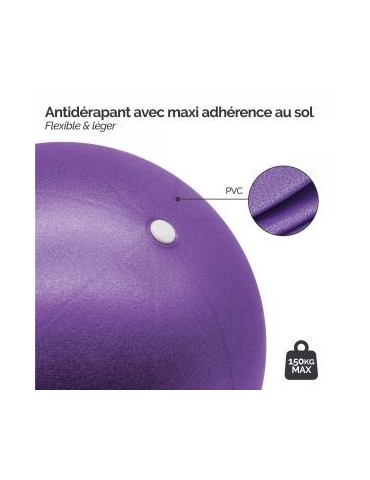 Ballon de Yoga 26cm violet 2