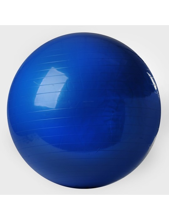 Ballon de Gym 100cm bleu