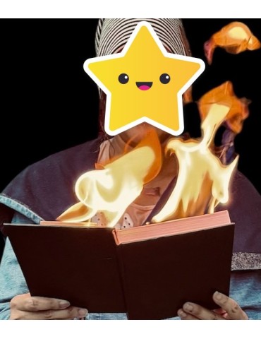 Livre en feu 2