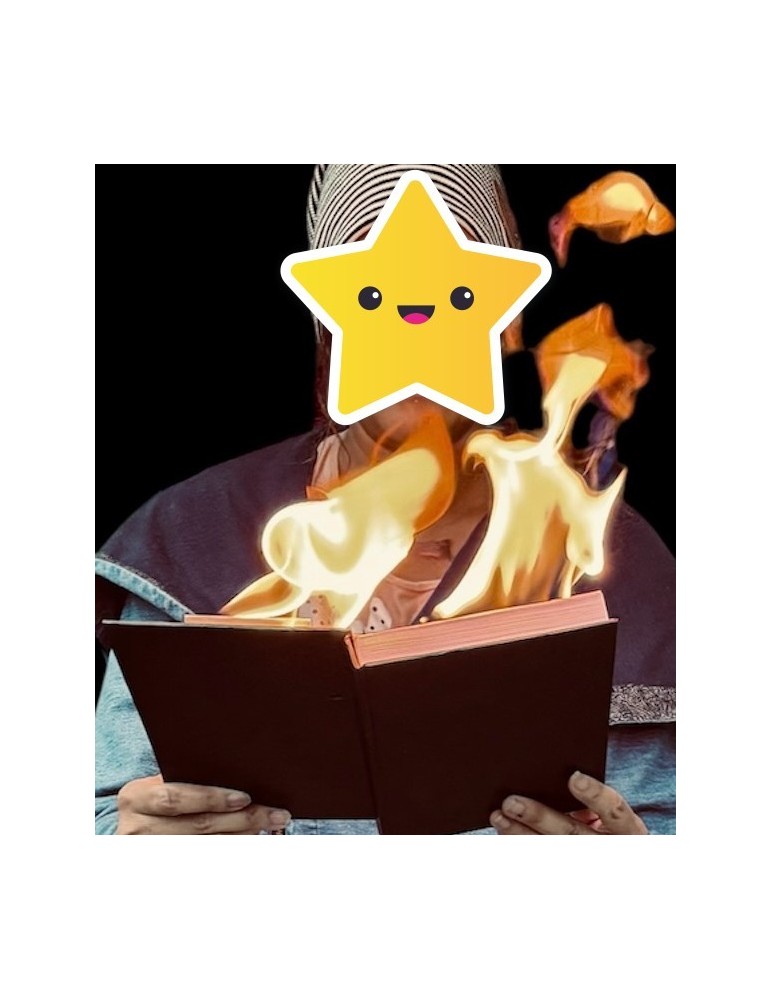 Libro in fiamme