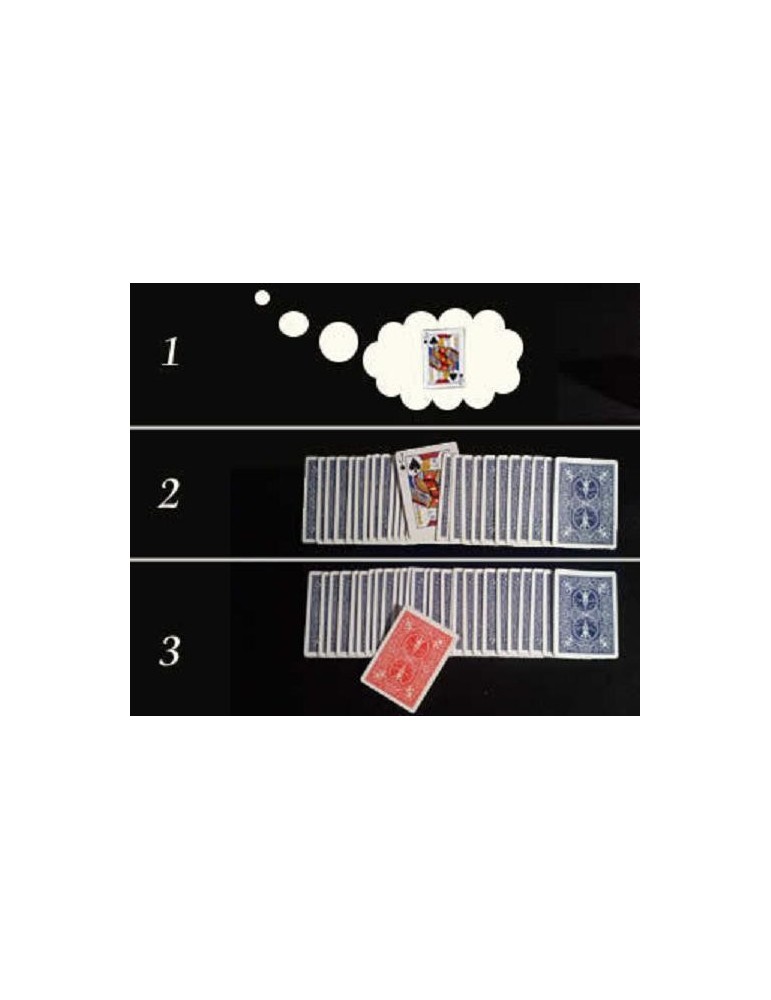 Bicycle cards Brainwave