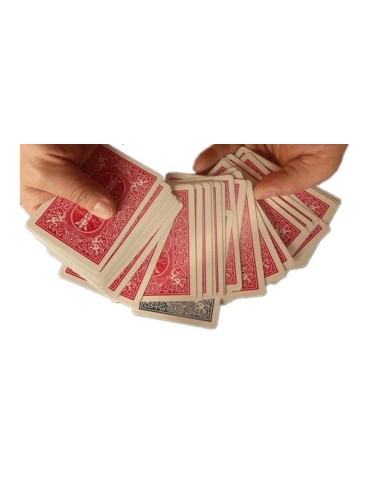 Cartes Bicycle Brainwave 2