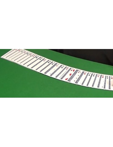 Selbstmischendes Kartenspiel von Duvivier 2