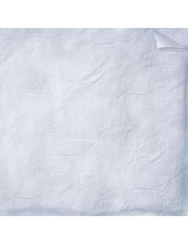Tyvek fabric roll of 50m/152cm 43gr/m2 2