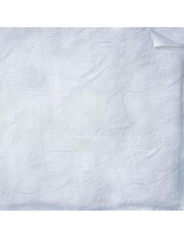 Tissu Tyvek rouleau de 50m/152cm 43gr/m2