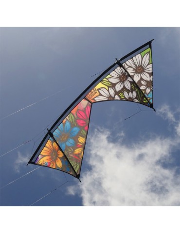 Shiva Core Spiderkites (Dyneema 4x45kg) 2