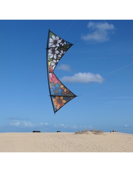 Shiva Core Spiderkites (Dyneema 4x45kg)