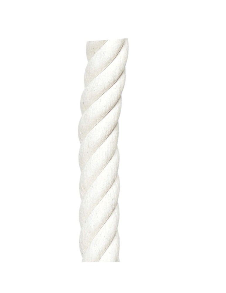 Trapez 50cm mit 120cm Seilen