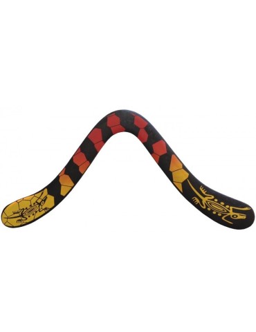 Boomerang Technic droitier en Carbone